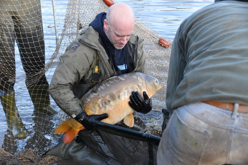 Afnetting Lange Bleek